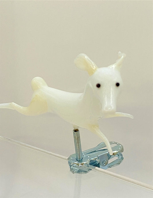 IMG_5436rNhUWgaHutgIx