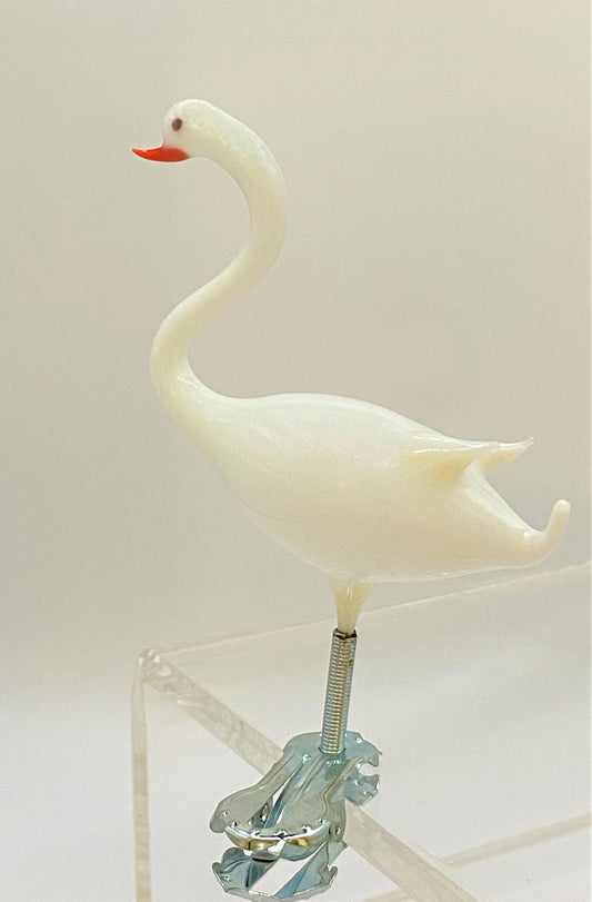 IMG_5440Zch4BqpM78Z2Q