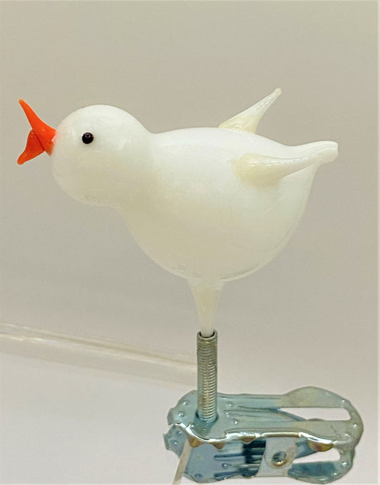 IMG_5469bEBnHc8PZTtM2