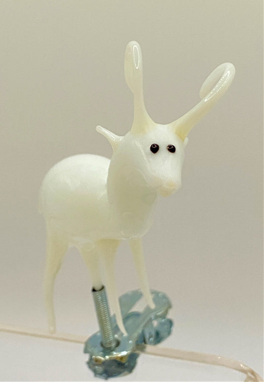 IMG_5478t9vET0h3QalWv