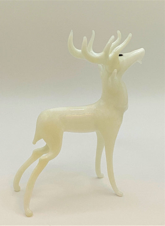 IMG_5483BlWaHVLPgFFZZ