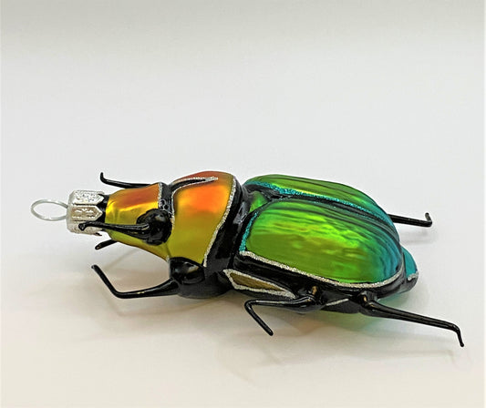 IMG_5503fmUgCA5WRz319