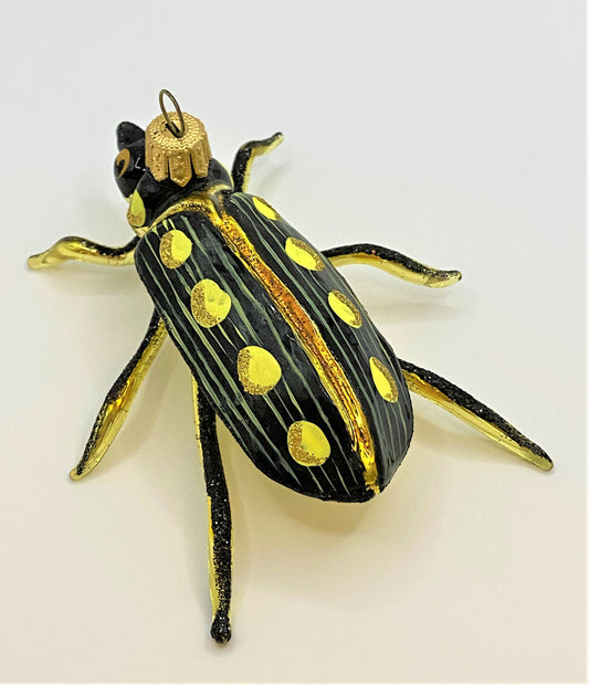 IMG_5509izSdMVlGxDSef