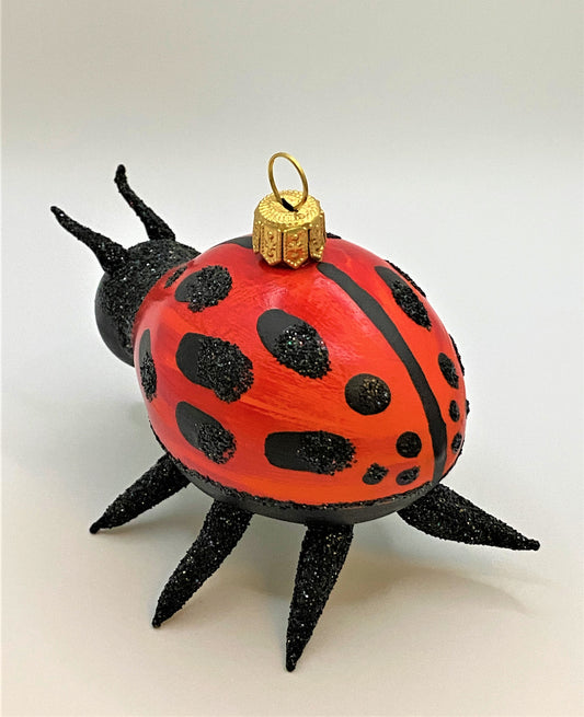 IMG_5513pgu2lDUDvwOEI