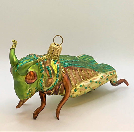 IMG_5526pjbyXwVYfi1EL