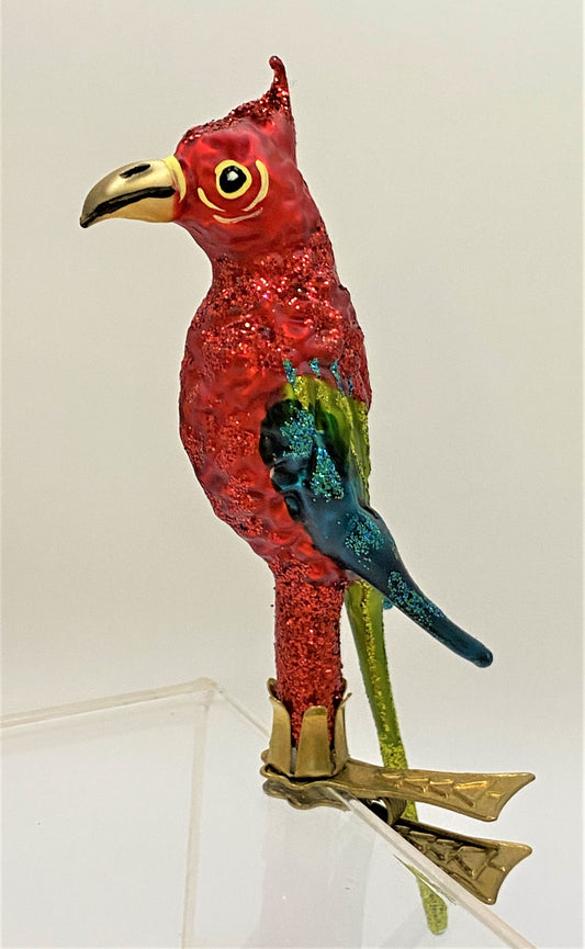 IMG_55570kG9XsJS8TlZG