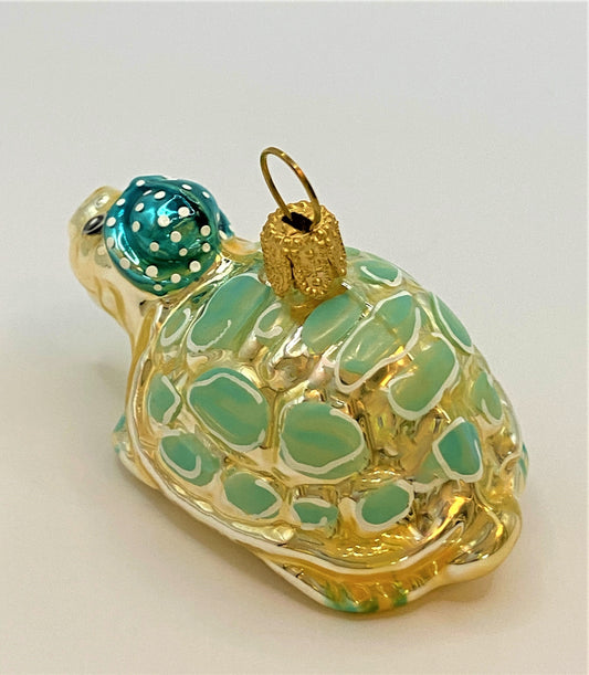 IMG_5593QCZMlk5GeIMnp