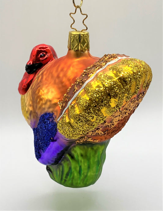 IMG_60492Xaqyc3BCb9Rb