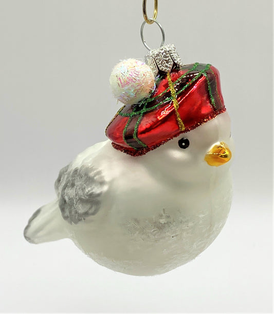 IMG_6076cxEtue3VqOX2m