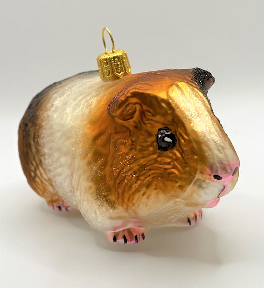 IMG_6088GJER4MMc9VBpt