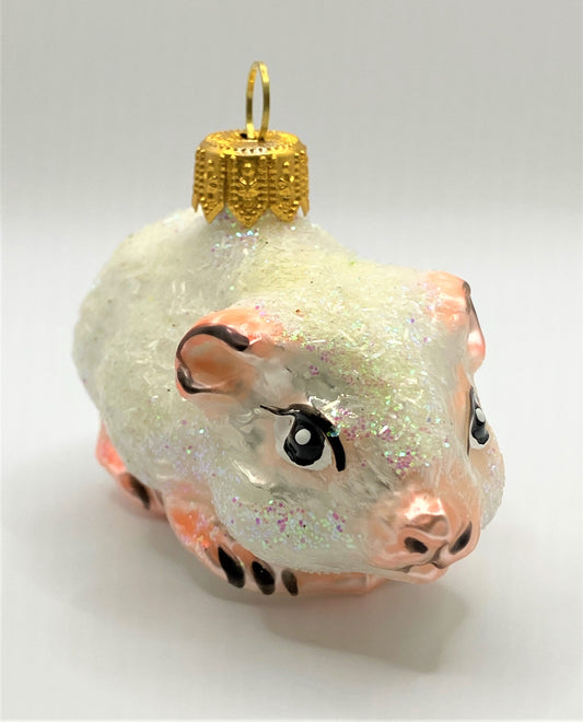 IMG_6093pB1d6dV41Sha9