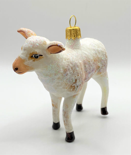 IMG_6106rVrrutRrKlatP