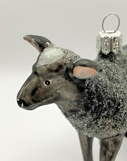 IMG_6111AgHSQNWm59xWR