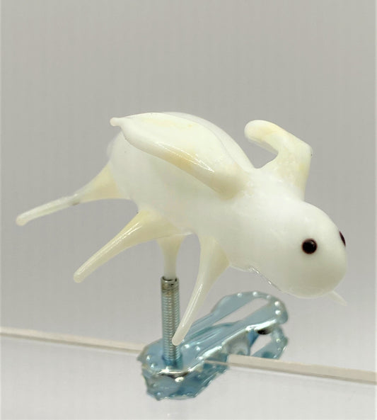 IMG_6112K8Vmdc3hZVwRT