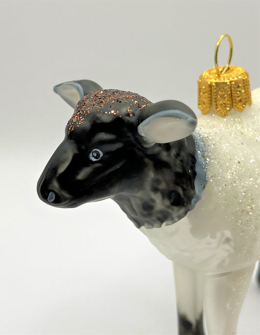 IMG_6115EjCJmRt3sVViV