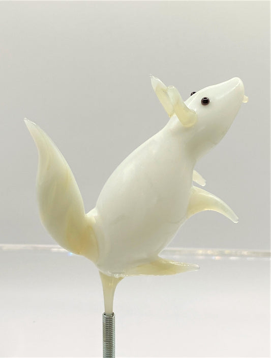 IMG_6116xwJzEncO1TCW2