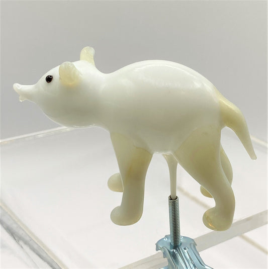 IMG_6119R4JwWZ6yOa88R