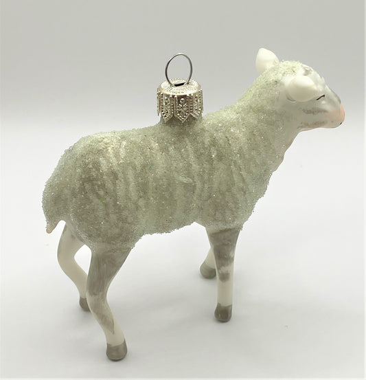 IMG_6120q0cRWuZzJbEBy