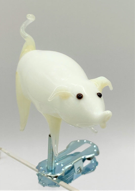 IMG_6123VcPqLGqFyqBkp