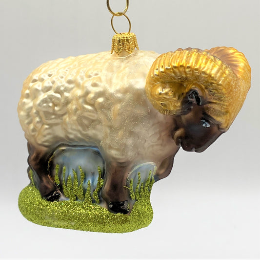 IMG_6127fBjt8P6D3ZECL