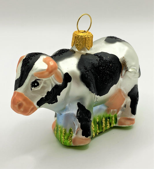 IMG_6142v89R12FKB5y0V