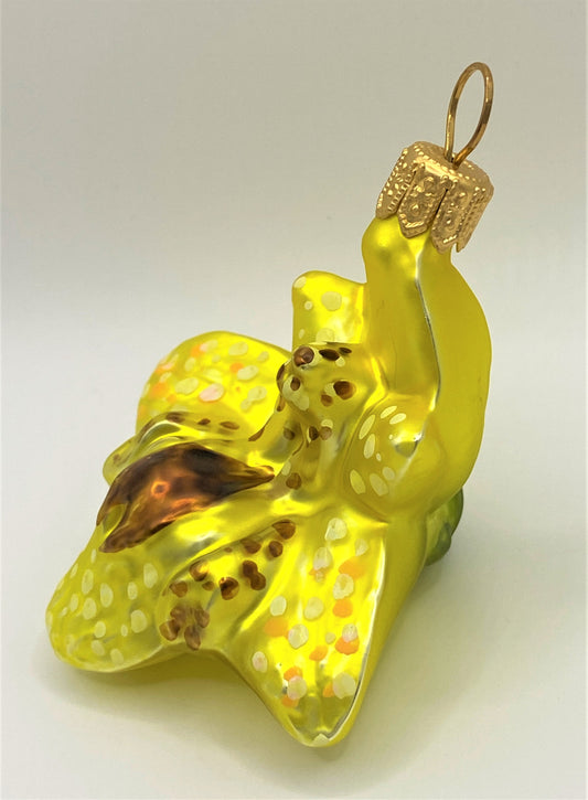 IMG_65194XkSBMZfkeajM