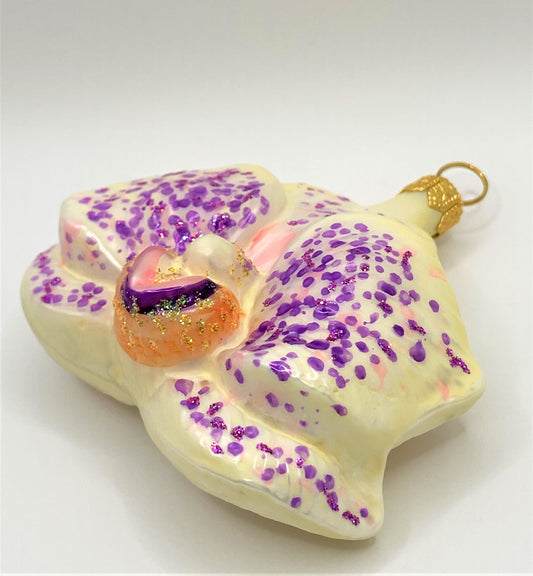 IMG_6525nLCkrsAtKiEmx