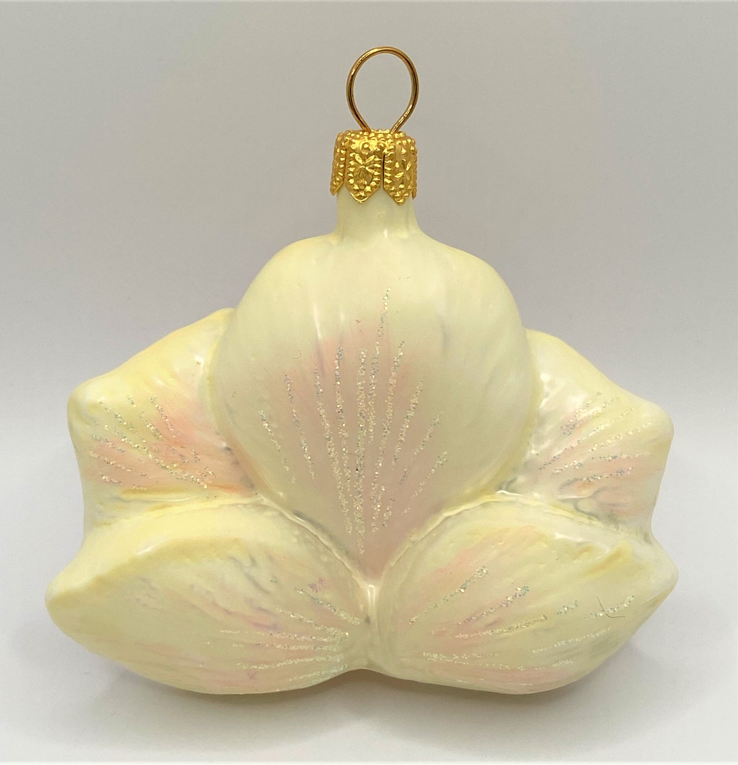 IMG_6526MyKNkTLJp1yJg