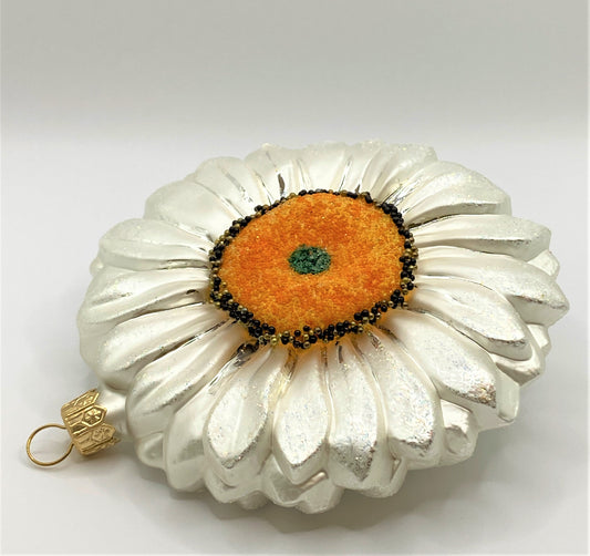 IMG_65353S8wLeq2nYqgK