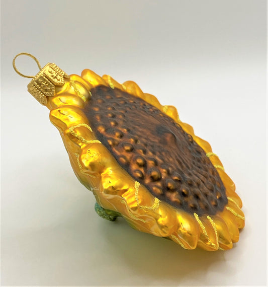 IMG_6541h1MzQtD62NBJs