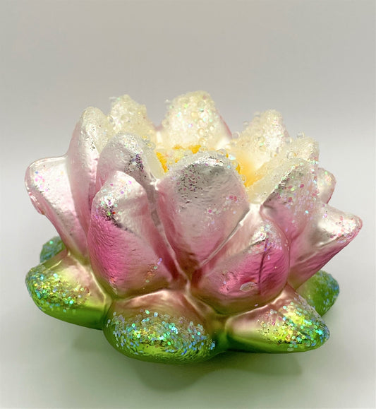 IMG_6547oGqsDtKCi2Oli