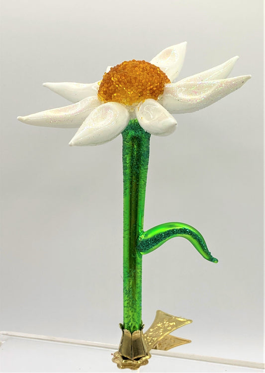 IMG_6555JLl9SvbnxHBiR