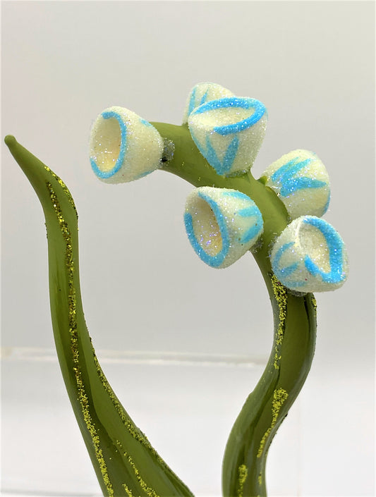 IMG_6578AXR1UPiZN8nIY