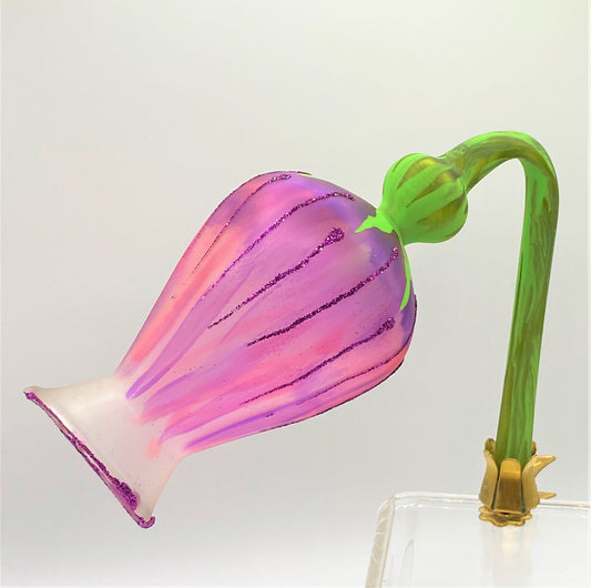 IMG_6582oLlMxRx5ERp4L