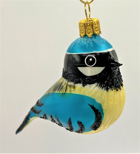 IMG_6598QfgbIeYFRErPA