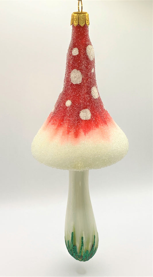 IMG_6606WgOqFDfkWqUkD