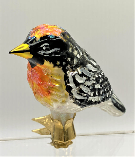 IMG_666569hGostTYEgnP