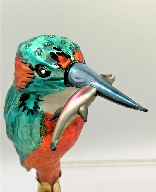 IMG_6687aFO8dK4JVirEk