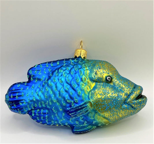 IMG_6715dBwDmFqVkEt9X