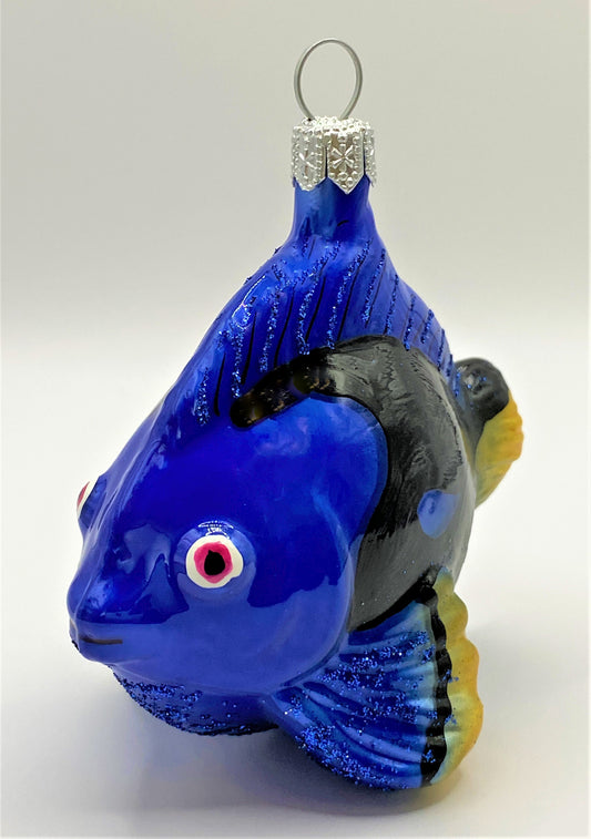 IMG_67199lp1WVaOxyCts