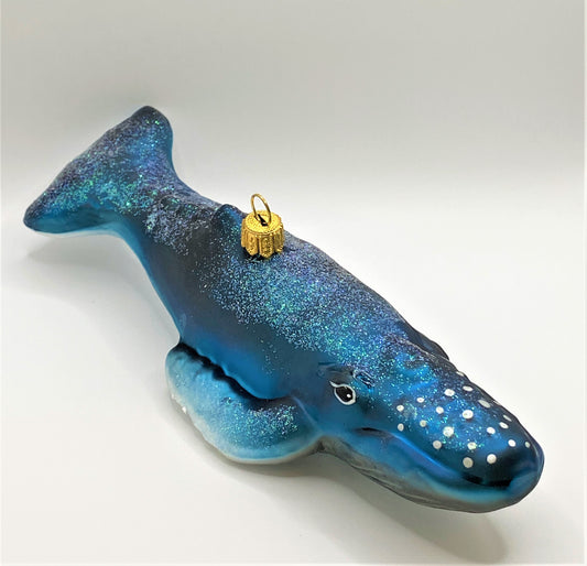 IMG_6730z78Wi8TJ1zyht