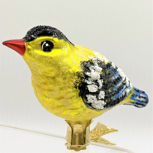 IMG_6765jjOeVwFyDg8xI