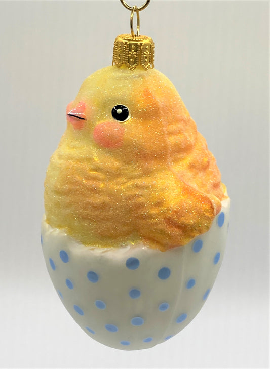 IMG_6766EAY7QpPVAS01M