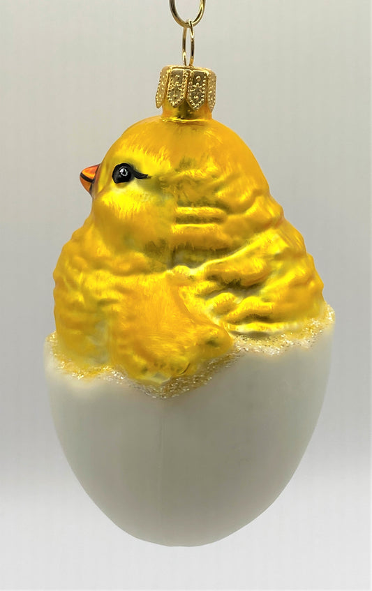 IMG_6770EIzY84awnkb2B