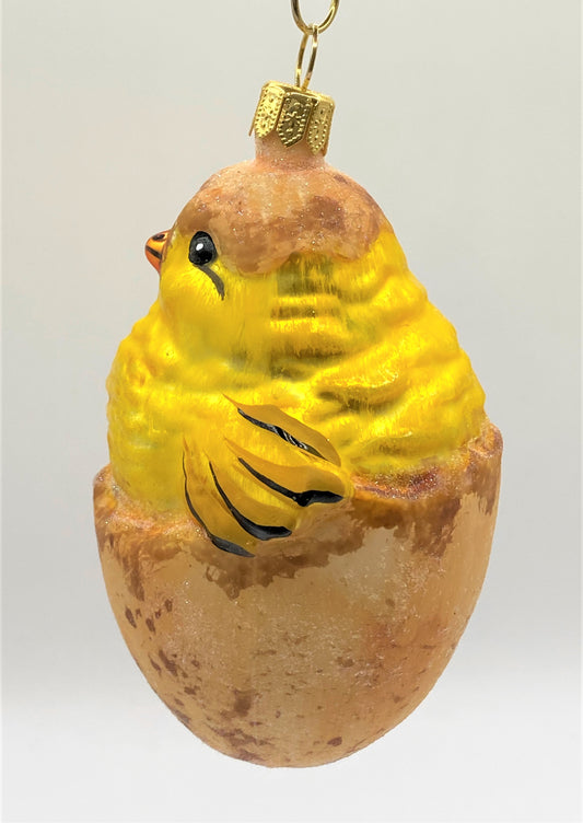 IMG_6774svQHvKeo2TBRi