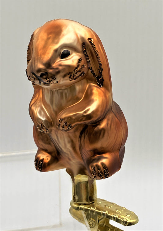 IMG_6807tWDqQzk2B9enY