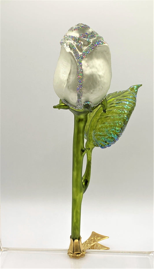 IMG_68558yOkKBHp4438j