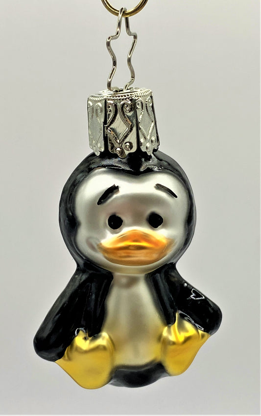 IMG_6858mmogHqoJtEzIs