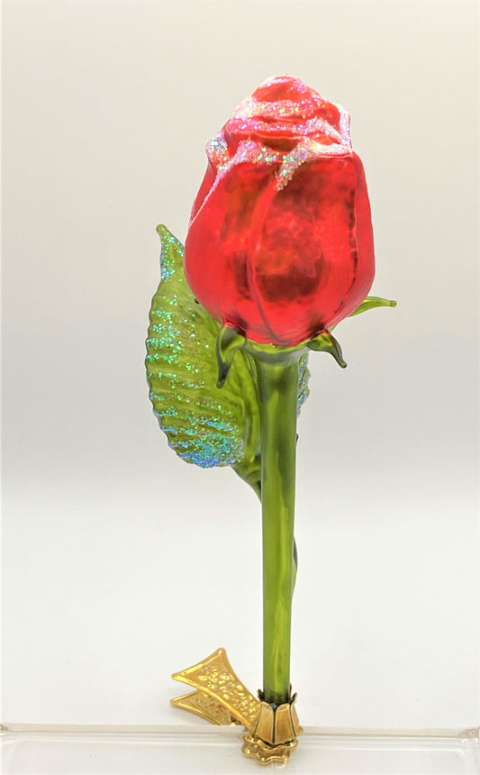 IMG_6862Q0488uCodnNuK