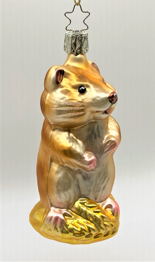 IMG_6871deyAisgYUF3Lo